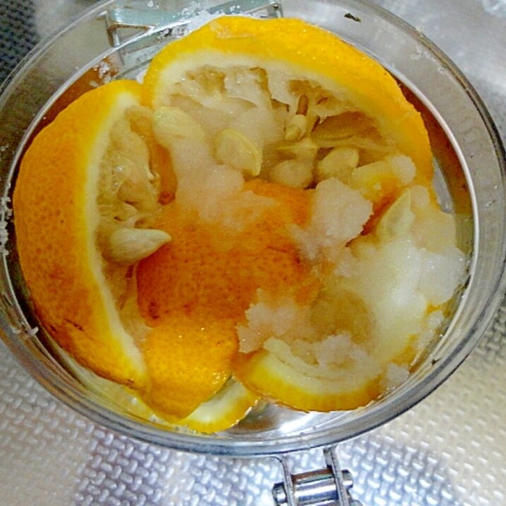 塩柚子